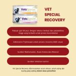 Vets Special Recovery Dog 185g 5 Pcs - Image 2