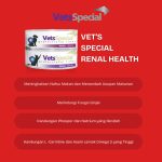 Vets Special Renal Health Cat 185gr - Image 2